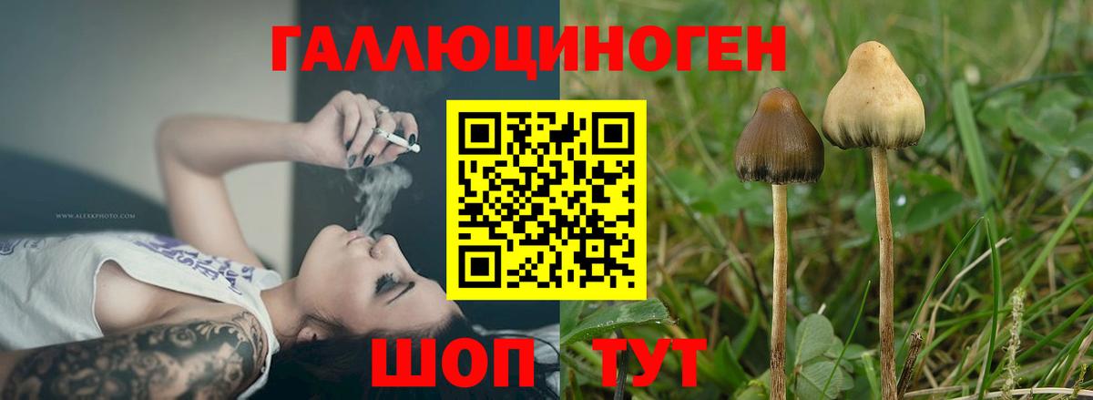 Галлюциногенные грибы прущие грибы Донской
